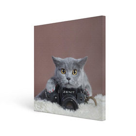 Холст квадратный с принтом Котик фотограф в Петрозаводске, 100% ПВХ |  | кот | котик | кошка | объектив | фотоаппарат | фотограф