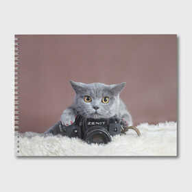 Альбом для рисования с принтом Котик фотограф в Петрозаводске, 100% бумага
 | матовая бумага, плотность 200 мг. | кот | котик | кошка | объектив | фотоаппарат | фотограф