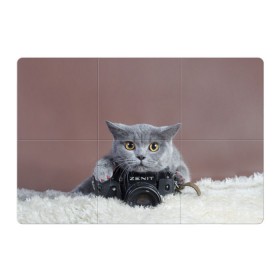 Магнитный плакат 3Х2 с принтом Котик фотограф в Петрозаводске, Полимерный материал с магнитным слоем | 6 деталей размером 9*9 см | кот | котик | кошка | объектив | фотоаппарат | фотограф