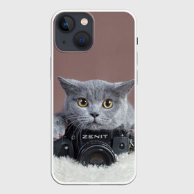 Чехол для iPhone 13 mini с принтом Котик фотограф в Петрозаводске,  |  | кот | котик | кошка | объектив | фотоаппарат | фотограф
