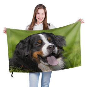 Флаг 3D с принтом Бернский зенненхунд в Петрозаводске, 100% полиэстер | плотность ткани — 95 г/м2, размер — 67 х 109 см. Принт наносится с одной стороны | волкодав | дворняжка | домашние животные | любимец | мопс | овчарка | пес | песик | питомец | сенбернар | собака | собачка