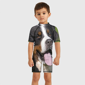 Детский купальный костюм 3D с принтом Бернский зенненхунд в Петрозаводске, Полиэстер 85%, Спандекс 15% | застежка на молнии на спине | волкодав | дворняжка | домашние животные | любимец | мопс | овчарка | пес | песик | питомец | сенбернар | собака | собачка