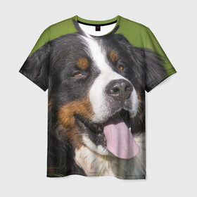 Мужская футболка 3D с принтом Бернский зенненхунд в Петрозаводске, 100% полиэфир | прямой крой, круглый вырез горловины, длина до линии бедер | волкодав | дворняжка | домашние животные | любимец | мопс | овчарка | пес | песик | питомец | сенбернар | собака | собачка