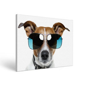 Холст прямоугольный с принтом Джек Рассел в очках в Петрозаводске, 100% ПВХ |  | волкодав | дворняжка | джек | джек рассел | домашние животные | любимец | мопс | овчарка | пес | песик | питомец | рассел | сенбернар | собака | собачка