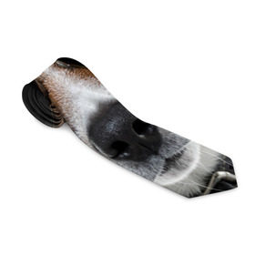 Галстук 3D с принтом Джек Рассел в очках в Петрозаводске, 100% полиэстер | Длина 148 см; Плотность 150-180 г/м2 | волкодав | дворняжка | джек | джек рассел | домашние животные | любимец | мопс | овчарка | пес | песик | питомец | рассел | сенбернар | собака | собачка