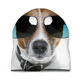 Шапка 3D с принтом Джек Рассел в очках в Петрозаводске, 100% полиэстер | универсальный размер, печать по всей поверхности изделия | волкодав | дворняжка | джек | джек рассел | домашние животные | любимец | мопс | овчарка | пес | песик | питомец | рассел | сенбернар | собака | собачка