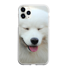 Чехол для iPhone 11 Pro Max матовый с принтом Самоед в Петрозаводске, Силикон |  | Тематика изображения на принте: далматин | лабрадор | любимец | овчарка | пес | питомец | самоед | собака | собачка | щенок
