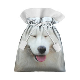 Подарочный 3D мешок с принтом Самоед в Петрозаводске, 100% полиэстер | Размер: 29*39 см | далматин | лабрадор | любимец | овчарка | пес | питомец | самоед | собака | собачка | щенок