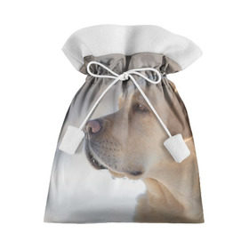 Подарочный 3D мешок с принтом Лабрадор в Петрозаводске, 100% полиэстер | Размер: 29*39 см | Тематика изображения на принте: далматин | далматинец | дворняга | лабрадор | любимец | овчарка | пес | питомец | самоед | собака | собачка | щенок