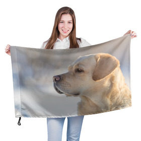 Флаг 3D с принтом Лабрадор в Петрозаводске, 100% полиэстер | плотность ткани — 95 г/м2, размер — 67 х 109 см. Принт наносится с одной стороны | далматин | далматинец | дворняга | лабрадор | любимец | овчарка | пес | питомец | самоед | собака | собачка | щенок