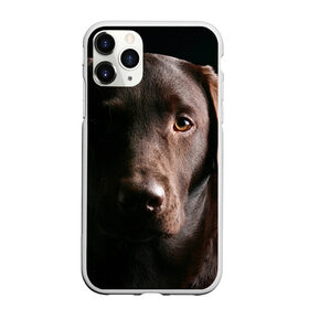 Чехол для iPhone 11 Pro Max матовый с принтом Лабрадор в Петрозаводске, Силикон |  | Тематика изображения на принте: далматин | далматинец | дворняга | лабрадор | любимец | овчарка | пес | питомец | самоед | собака | собачка | щенок
