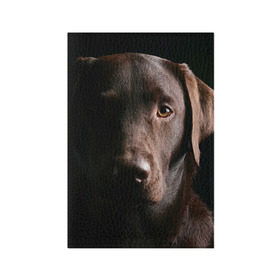 Обложка для паспорта матовая кожа с принтом Лабрадор в Петрозаводске, натуральная матовая кожа | размер 19,3 х 13,7 см; прозрачные пластиковые крепления | Тематика изображения на принте: далматин | далматинец | дворняга | лабрадор | любимец | овчарка | пес | питомец | самоед | собака | собачка | щенок