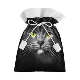 Подарочный 3D мешок с принтом Кошачий взгляд в Петрозаводске, 100% полиэстер | Размер: 29*39 см | Тематика изображения на принте: взгляд | взор | глаза | киска | кот | котёнок | кошка | усы