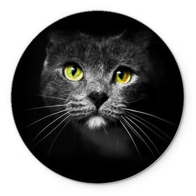 Коврик круглый с принтом Кошачий взгляд в Петрозаводске, резина и полиэстер | круглая форма, изображение наносится на всю лицевую часть | взгляд | взор | глаза | киска | кот | котёнок | кошка | усы