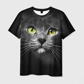 Мужская футболка 3D с принтом Кошачий взгляд в Петрозаводске, 100% полиэфир | прямой крой, круглый вырез горловины, длина до линии бедер | Тематика изображения на принте: взгляд | взор | глаза | киска | кот | котёнок | кошка | усы