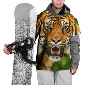 Накидка на куртку 3D с принтом Тигр в Петрозаводске, 100% полиэстер |  | дикая кошка | животное | клыки | лев | тигр. tiger | хищник
