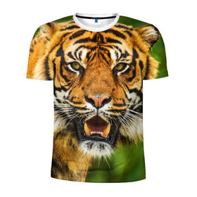 Мужская футболка 3D спортивная с принтом Тигр в Петрозаводске, 100% полиэстер с улучшенными характеристиками | приталенный силуэт, круглая горловина, широкие плечи, сужается к линии бедра | дикая кошка | животное | клыки | лев | тигр. tiger | хищник