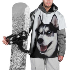 Накидка на куртку 3D с принтом Сибирский хаски в Петрозаводске, 100% полиэстер |  | Тематика изображения на принте: взгляд | голубые глаза | зима | сибирь | снег | собака | хаски | хаски бандит | холод
