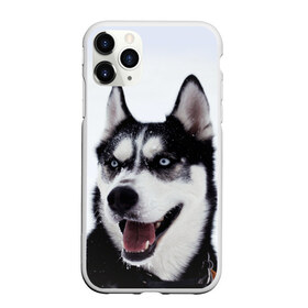 Чехол для iPhone 11 Pro матовый с принтом Сибирский хаски в Петрозаводске, Силикон |  | взгляд | голубые глаза | зима | сибирь | снег | собака | хаски | хаски бандит | холод