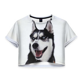 Женская футболка 3D укороченная с принтом Сибирский хаски в Петрозаводске, 100% полиэстер | круглая горловина, длина футболки до линии талии, рукава с отворотами | взгляд | голубые глаза | зима | сибирь | снег | собака | хаски | хаски бандит | холод
