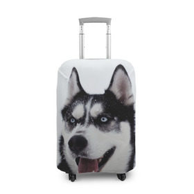 Чехол для чемодана 3D с принтом Сибирский хаски в Петрозаводске, 86% полиэфир, 14% спандекс | двустороннее нанесение принта, прорези для ручек и колес | взгляд | голубые глаза | зима | сибирь | снег | собака | хаски | хаски бандит | холод