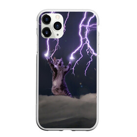 Чехол для iPhone 11 Pro матовый с принтом Грозовой кошак в Петрозаводске, Силикон |  | lightning cat