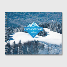Альбом для рисования с принтом Красная поляна в Петрозаводске, 100% бумага
 | матовая бумага, плотность 200 мг. | горнолыжный курорт | горы | зима | красная поляна | лыжи | парк | роза хуторов | снег | сноутборд | сочи