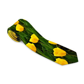 Галстук 3D с принтом Жёлтые тюльпаны в Петрозаводске, 100% полиэстер | Длина 148 см; Плотность 150-180 г/м2 | Тематика изображения на принте: поле | цветы | яркий