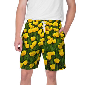 Мужские шорты 3D с принтом Жёлтые тюльпаны в Петрозаводске,  полиэстер 100% | прямой крой, два кармана без застежек по бокам. Мягкая трикотажная резинка на поясе, внутри которой широкие завязки. Длина чуть выше колен | поле | цветы | яркий