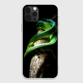 Чехол для iPhone 12 Pro Max с принтом Змея на груди в Петрозаводске, Силикон |  | Тематика изображения на принте: гадюка | дерево | джунгли | зелёный змей | змея | кобра | природа | удав