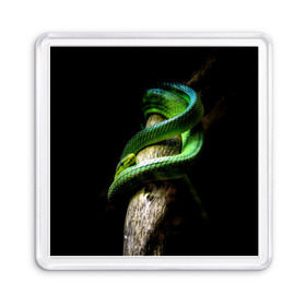 Магнит 55*55 с принтом Змея на груди в Петрозаводске, Пластик | Размер: 65*65 мм; Размер печати: 55*55 мм | Тематика изображения на принте: гадюка | дерево | джунгли | зелёный змей | змея | кобра | природа | удав