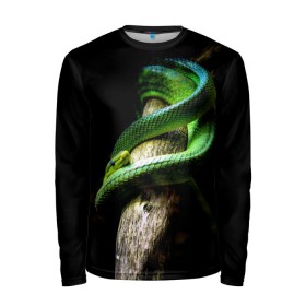 Мужской лонгслив 3D с принтом Змея на груди в Петрозаводске, 100% полиэстер | длинные рукава, круглый вырез горловины, полуприлегающий силуэт | гадюка | дерево | джунгли | зелёный змей | змея | кобра | природа | удав