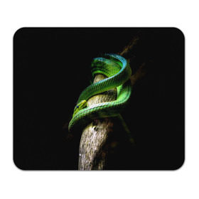 Коврик прямоугольный с принтом Змея на груди в Петрозаводске, натуральный каучук | размер 230 х 185 мм; запечатка лицевой стороны | гадюка | дерево | джунгли | зелёный змей | змея | кобра | природа | удав