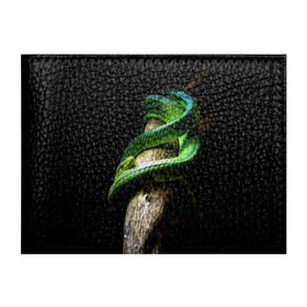 Обложка для студенческого билета с принтом Змея на груди в Петрозаводске, натуральная кожа | Размер: 11*8 см; Печать на всей внешней стороне | Тематика изображения на принте: гадюка | дерево | джунгли | зелёный змей | змея | кобра | природа | удав