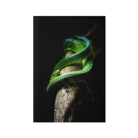 Обложка для паспорта матовая кожа с принтом Змея на груди в Петрозаводске, натуральная матовая кожа | размер 19,3 х 13,7 см; прозрачные пластиковые крепления | Тематика изображения на принте: гадюка | дерево | джунгли | зелёный змей | змея | кобра | природа | удав