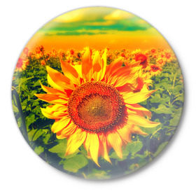 Значок с принтом Подсолнухи в Петрозаводске,  металл | круглая форма, металлическая застежка в виде булавки | лето | подсолнух | поле | природа | цветок | яркая