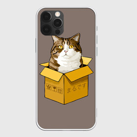 Чехол для iPhone 12 Pro Max с принтом Maru в Петрозаводске, Силикон |  | cat | maru | коробка | кот в коробке | кот мару | котейка | кошка | мару | прикол