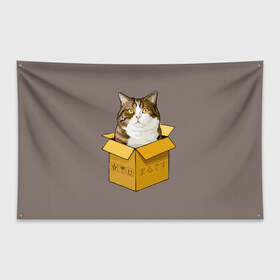 Флаг-баннер с принтом Maru в Петрозаводске, 100% полиэстер | размер 67 х 109 см, плотность ткани — 95 г/м2; по краям флага есть четыре люверса для крепления | cat | maru | коробка | кот в коробке | кот мару | котейка | кошка | мару | прикол