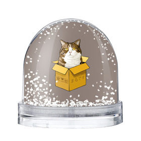 Водяной шар с принтом Maru в Петрозаводске, Пластик | Изображение внутри шара печатается на глянцевой фотобумаге с двух сторон | cat | maru | коробка | кот в коробке | кот мару | котейка | кошка | мару | прикол