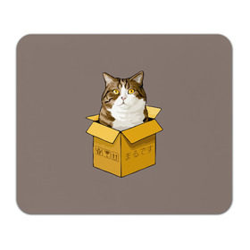 Коврик прямоугольный с принтом Maru в Петрозаводске, натуральный каучук | размер 230 х 185 мм; запечатка лицевой стороны | cat | maru | коробка | кот в коробке | кот мару | котейка | кошка | мару | прикол