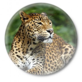 Значок с принтом Леопард в Петрозаводске,  металл | круглая форма, металлическая застежка в виде булавки | 