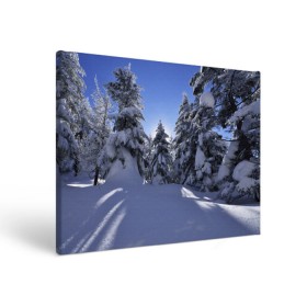 Холст прямоугольный с принтом Зимний лес в Петрозаводске, 100% ПВХ |  | Тематика изображения на принте: времена года | ель | зима | леса | лучи света | природа | снег