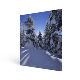 Холст квадратный с принтом Зимний лес в Петрозаводске, 100% ПВХ |  | Тематика изображения на принте: времена года | ель | зима | леса | лучи света | природа | снег