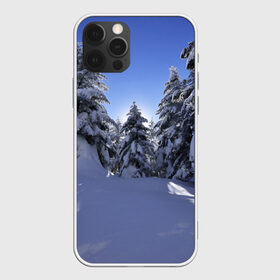 Чехол для iPhone 12 Pro Max с принтом Зимний лес в Петрозаводске, Силикон |  | времена года | ель | зима | леса | лучи света | природа | снег