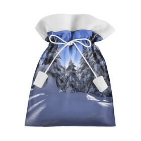 Подарочный 3D мешок с принтом Зимний лес в Петрозаводске, 100% полиэстер | Размер: 29*39 см | времена года | ель | зима | леса | лучи света | природа | снег