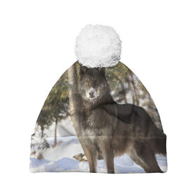 Шапка 3D c помпоном с принтом Король леса в Петрозаводске, 100% полиэстер | универсальный размер, печать по всей поверхности изделия | волки | животные | зима | зимние | картинки | снег | фото