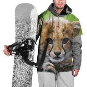 Накидка на куртку 3D с принтом Котёнок гепарда в Петрозаводске, 100% полиэстер |  | гепард | дикая кошка | котёнок | кошка | лев | природа | тигр | хищник | ягуар