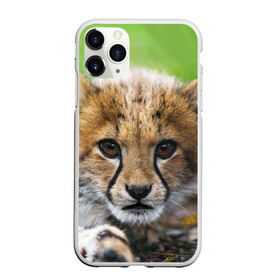 Чехол для iPhone 11 Pro матовый с принтом Котёнок гепарда в Петрозаводске, Силикон |  | гепард | дикая кошка | котёнок | кошка | лев | природа | тигр | хищник | ягуар