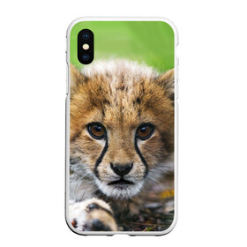 Чехол для iPhone XS Max матовый с принтом Котёнок гепарда в Петрозаводске, Силикон | Область печати: задняя сторона чехла, без боковых панелей | гепард | дикая кошка | котёнок | кошка | лев | природа | тигр | хищник | ягуар