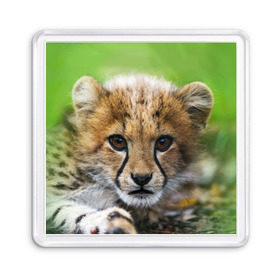 Магнит 55*55 с принтом Котёнок гепарда в Петрозаводске, Пластик | Размер: 65*65 мм; Размер печати: 55*55 мм | Тематика изображения на принте: гепард | дикая кошка | котёнок | кошка | лев | природа | тигр | хищник | ягуар